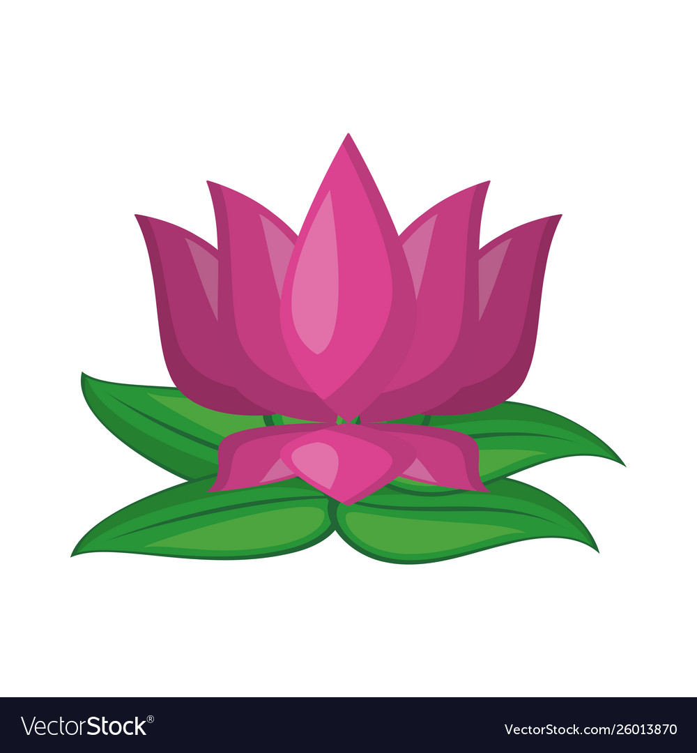 Lotus Blüte Blumen Ikone Cartoon