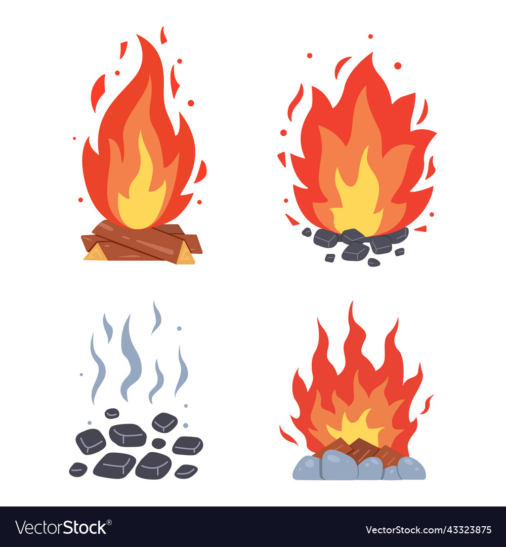 Campfire different types burning bonfire Vector Image