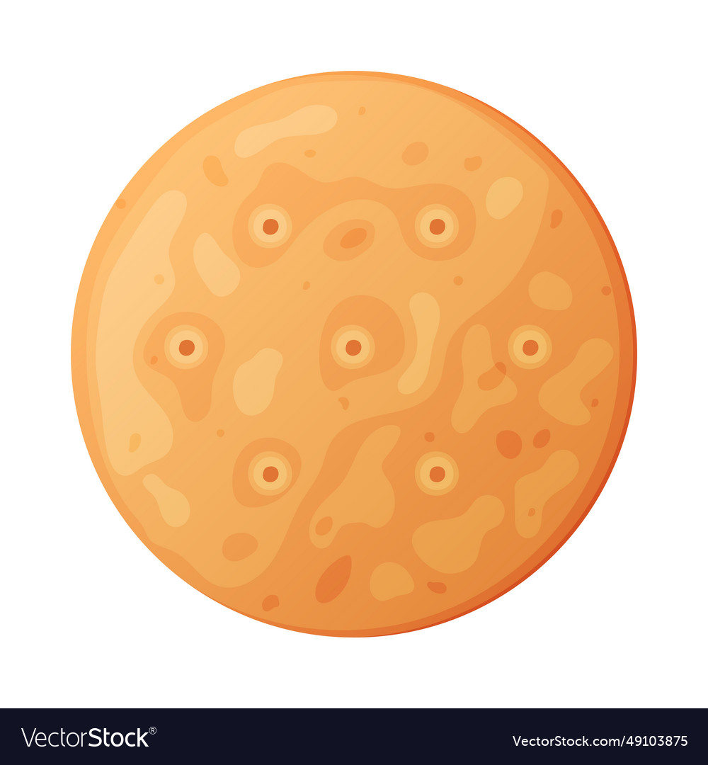 Crunchy Cracker Cookie As Dry Baked Flour Biscuit Vector Image