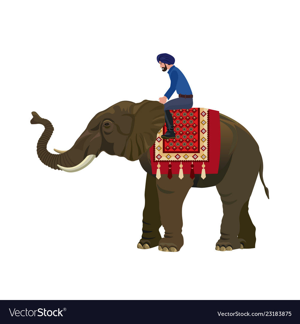 Man Riding An Elephant Royalty Free Vector Image