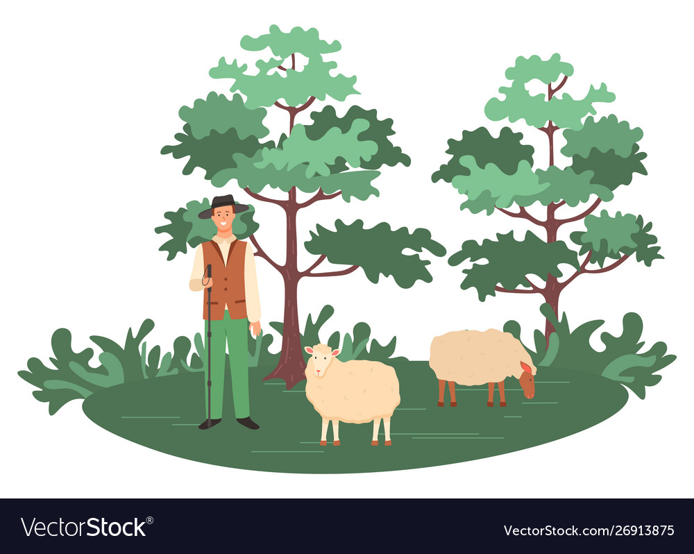 Sheep farming man shepherd with herd on nature