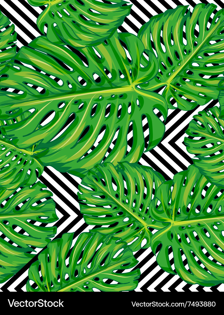 Seamless pattern leaves monstera Royalty Free Vector Image
