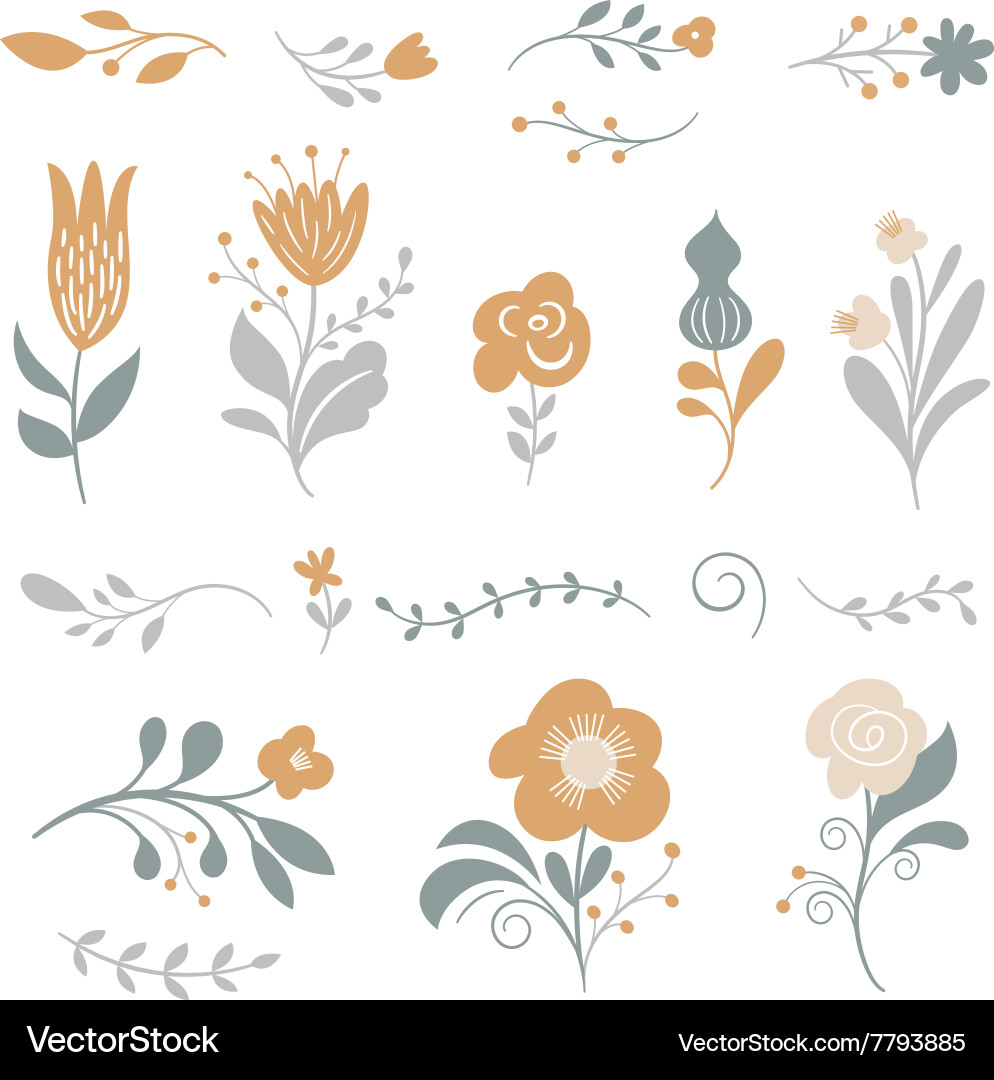 Set graphic floral elements Royalty Free Vector Image