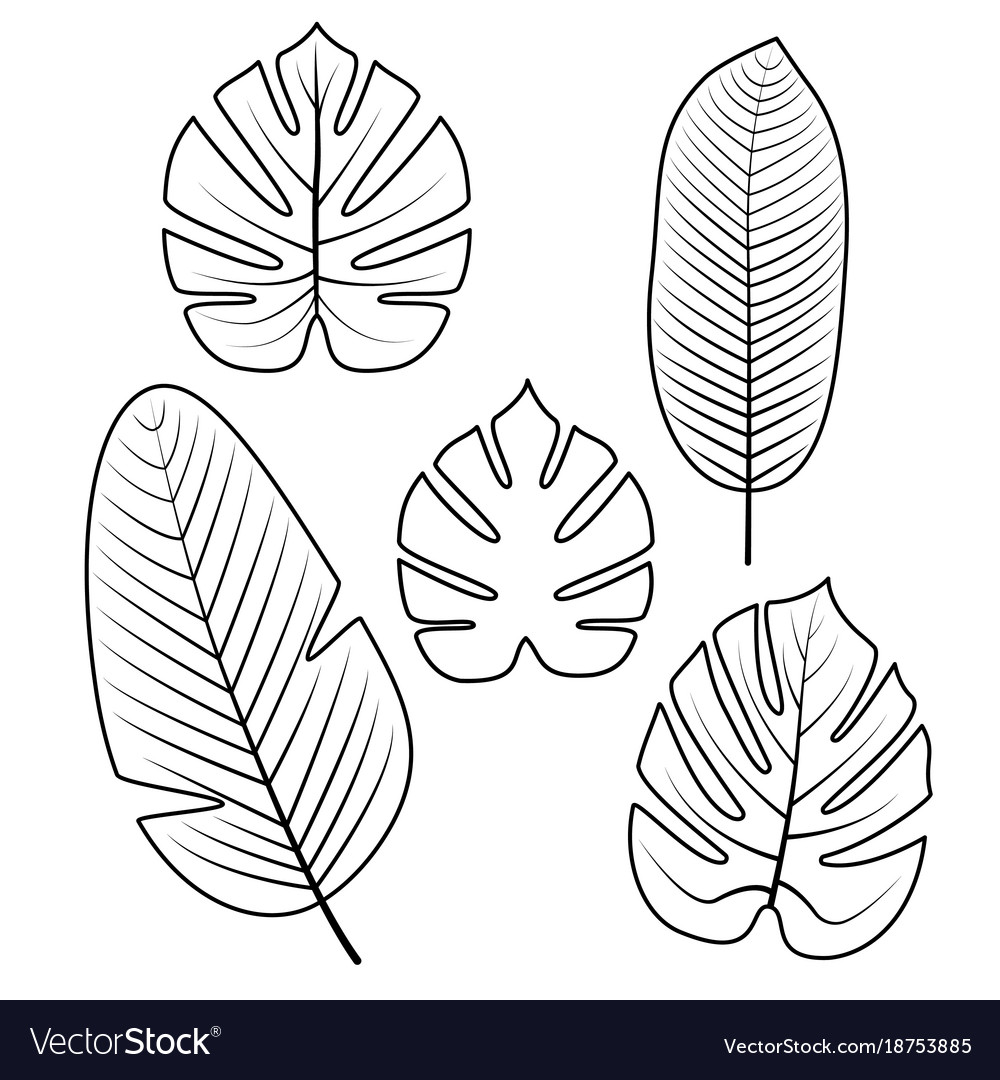 Free Printable Tropical Leaf Template