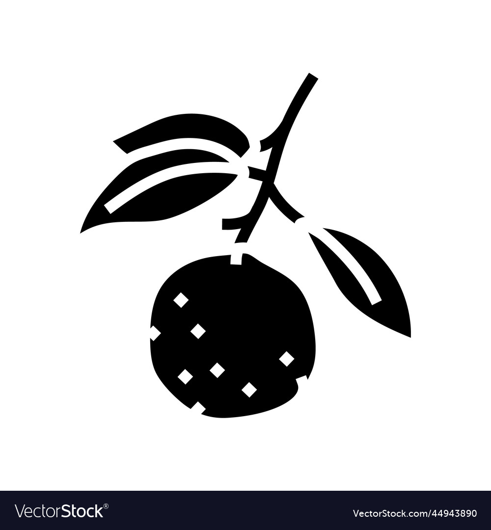 Branch mandarin leaf glyph icon