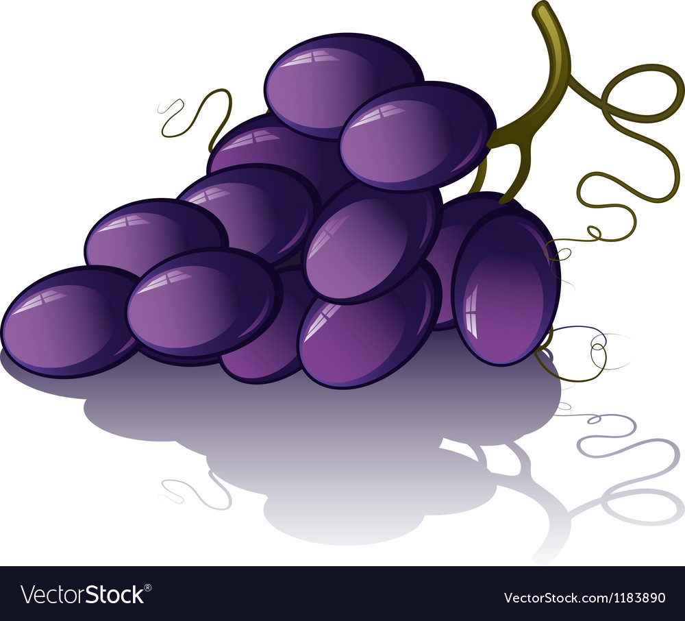 Bunch of grapes