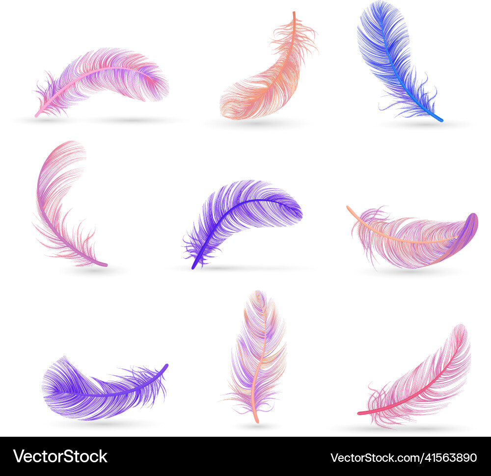 Realistic feather white background composition Vector Image