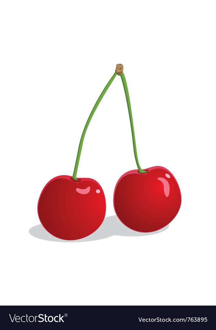 Ripe cherries