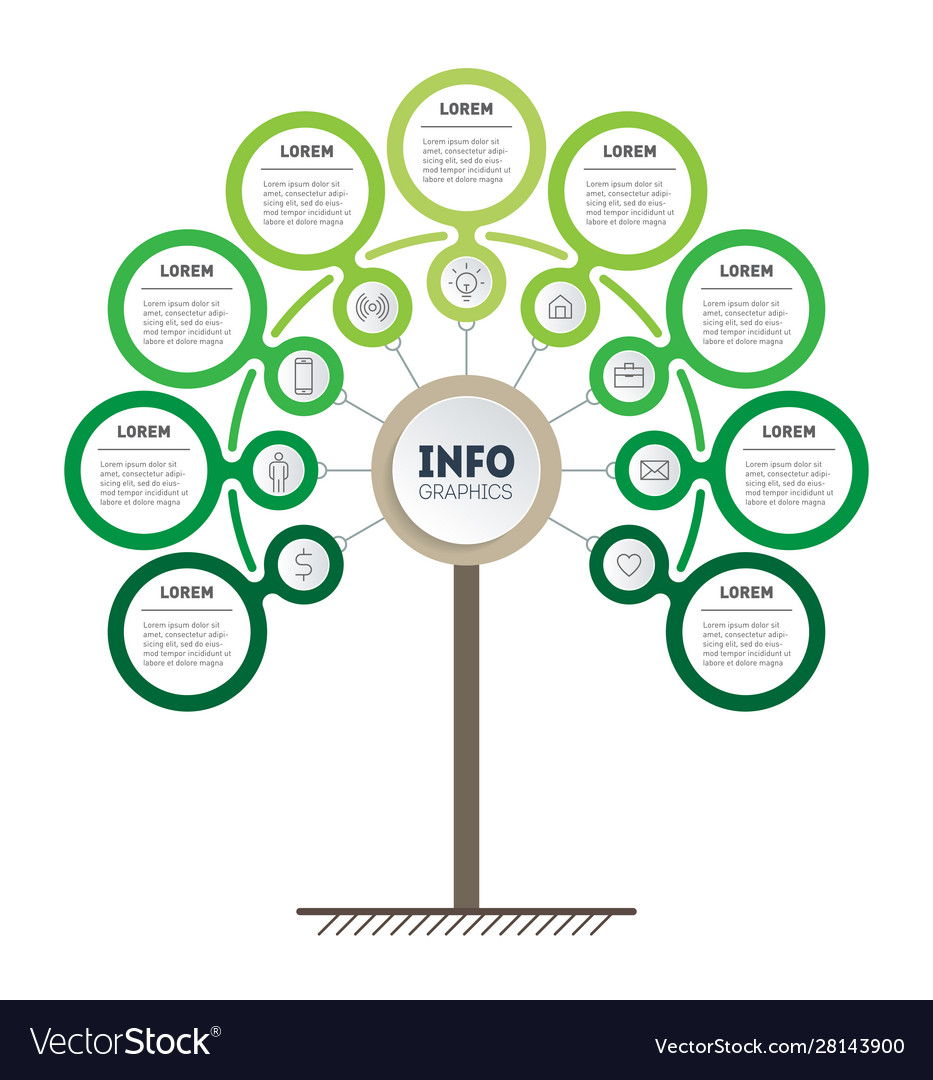 Infographic technology or education process Vector Image