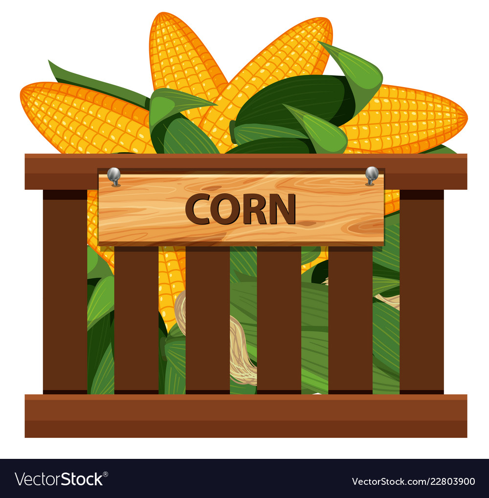 Sweet corn in wooden crate Royalty Free Vector Image