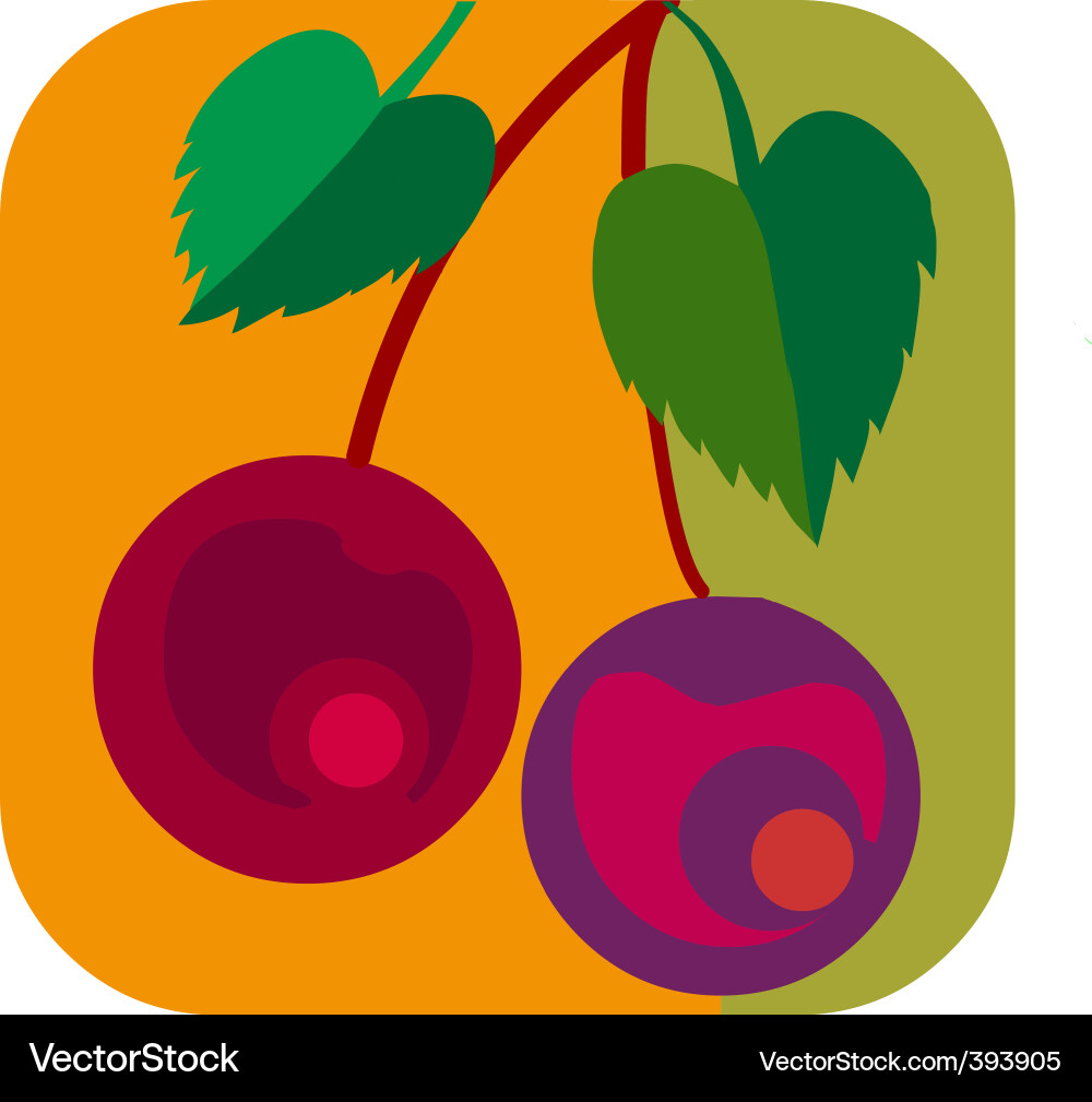 Cherry Royalty Free Vector Image - VectorStock
