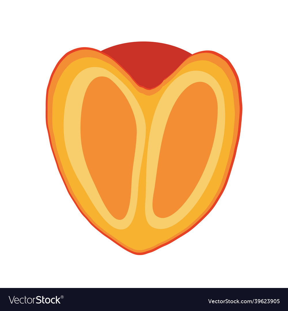 Icon is half a persimmon