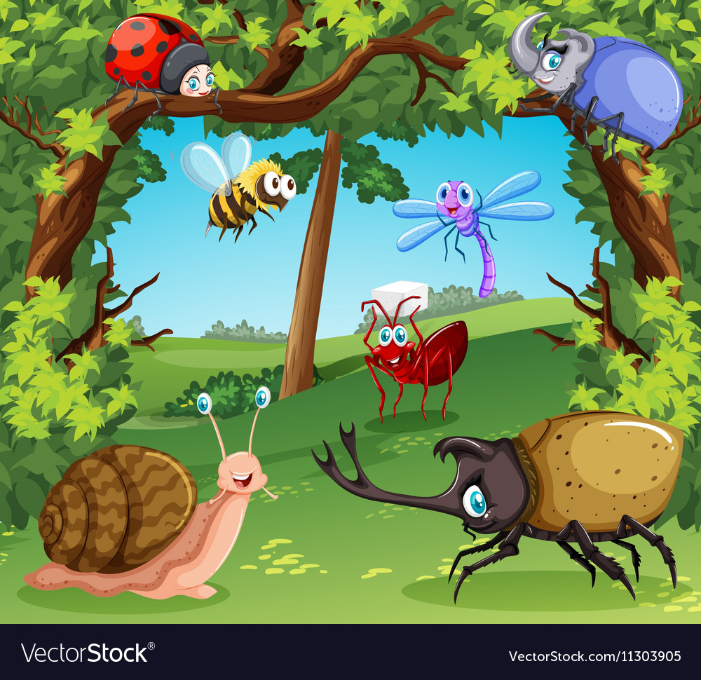 Many types of bugs in the forest