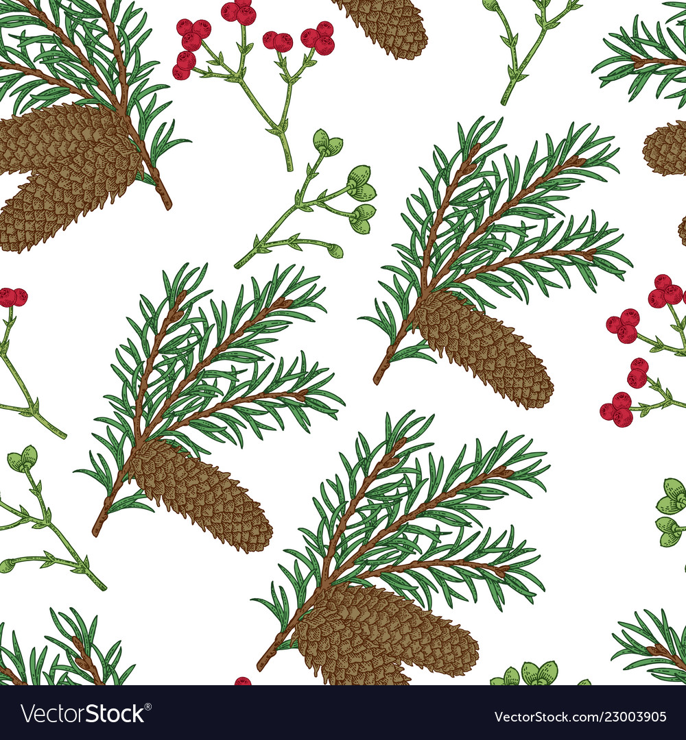 Seamless pattern with hand drawn fir cones