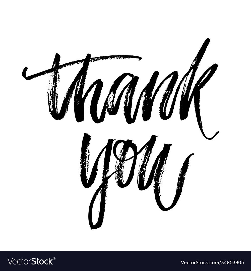 Thank You Text Calligraphy Royalty Free Vector Image