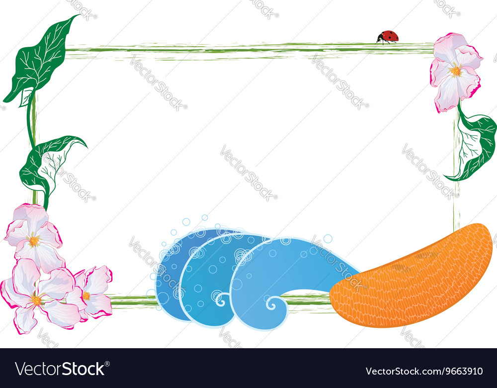 Frame with flower and fruit