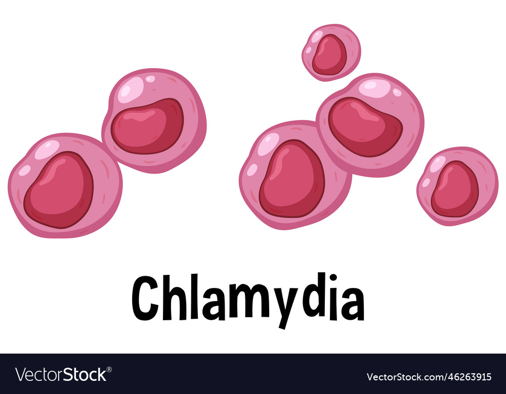 Chlamydia virus with text Royalty Free Vector Image