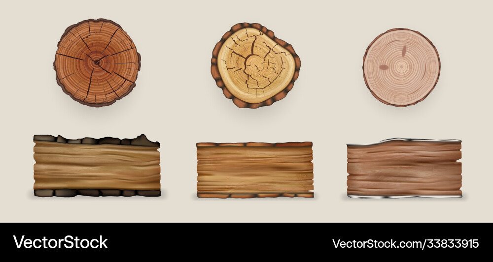 Realistic wood set collection Royalty Free Vector Image