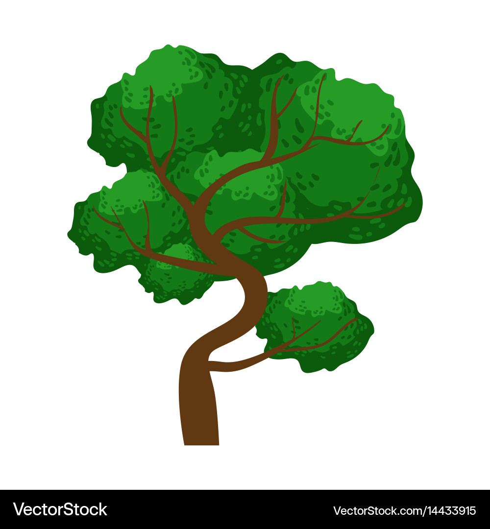 Spreading green tree element of a landscape Vector Image