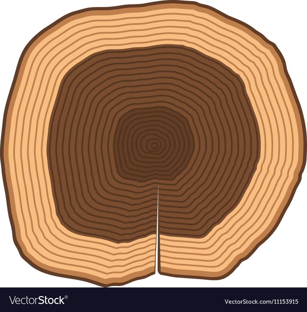 Tree slices isolated