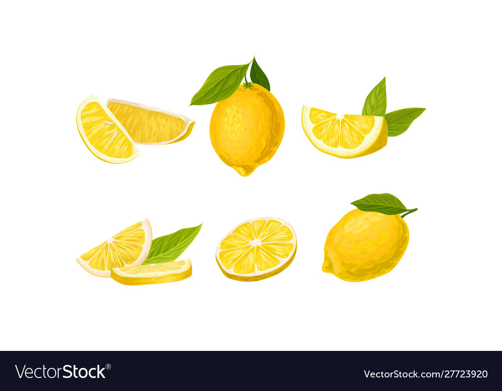 Fresh lemon set sliced and whole fruit