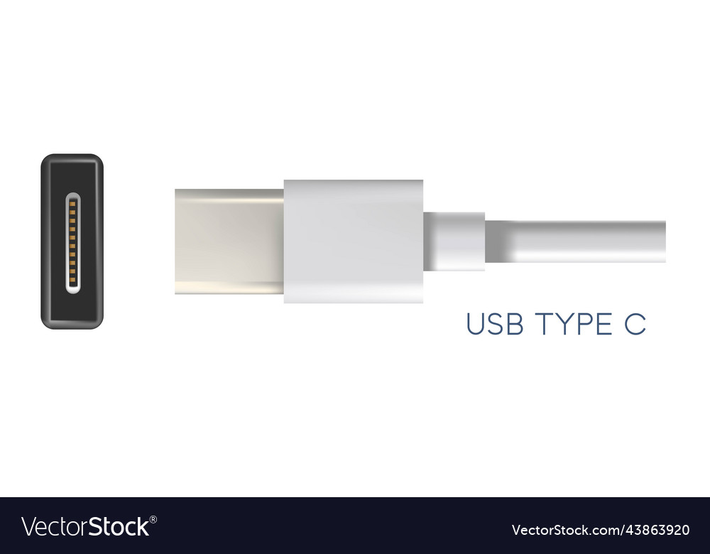 Usb type c connectors standard type for charging Vector Image