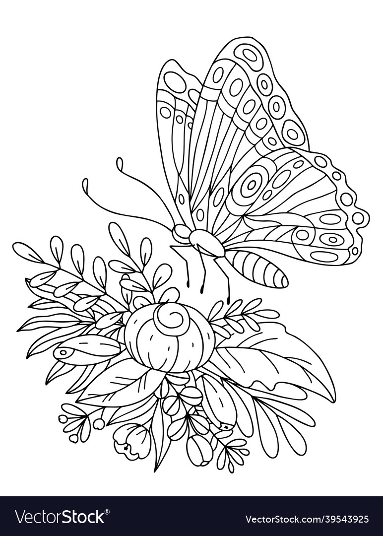 Butterfly on a bouquet of flowers and herbs