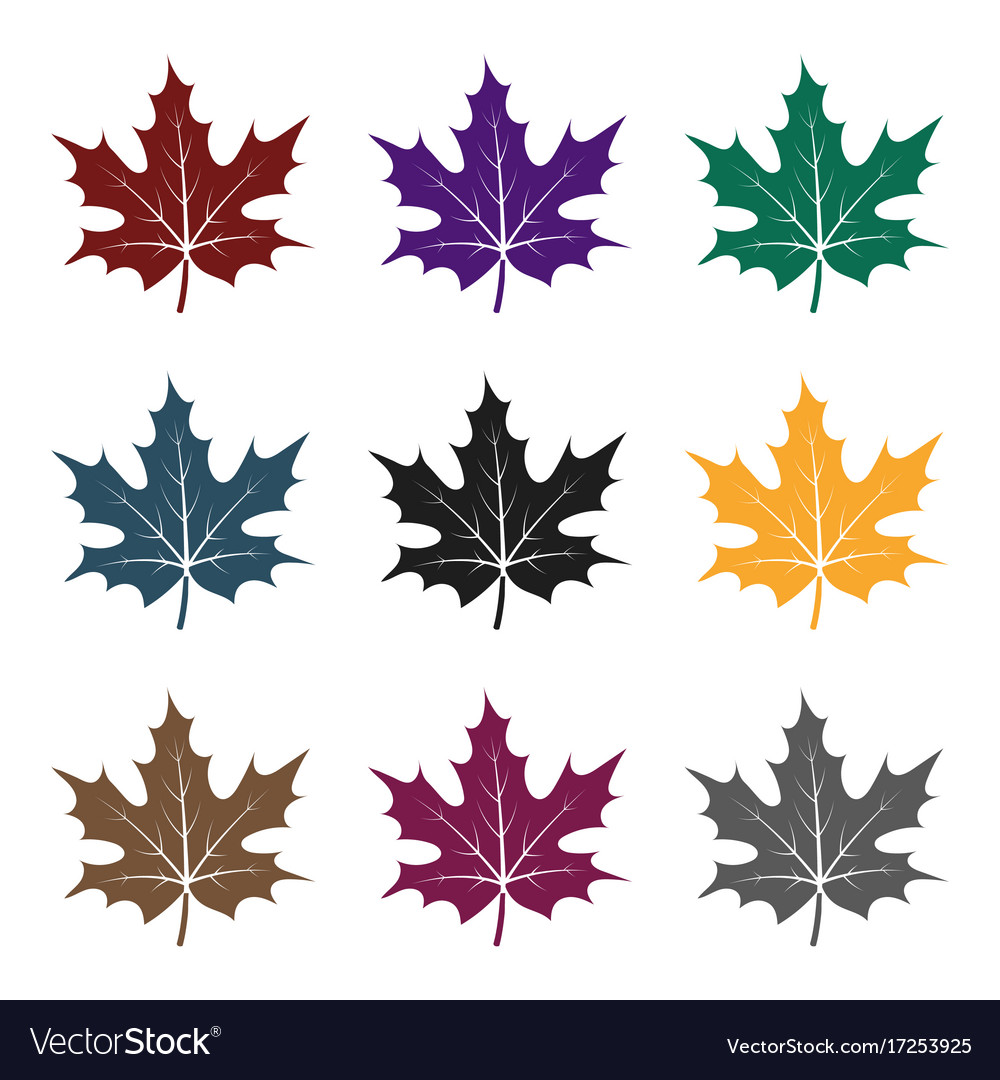 Maple leaf icon in black style isolated on white