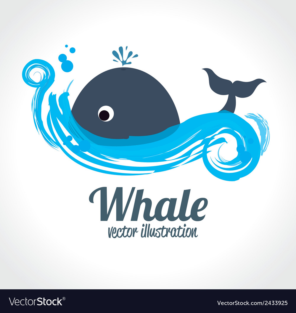 Summer design over white background Royalty Free Vector