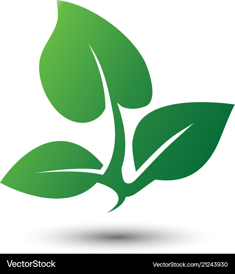 Abstract leaf logo icon template Royalty Free Vector Image