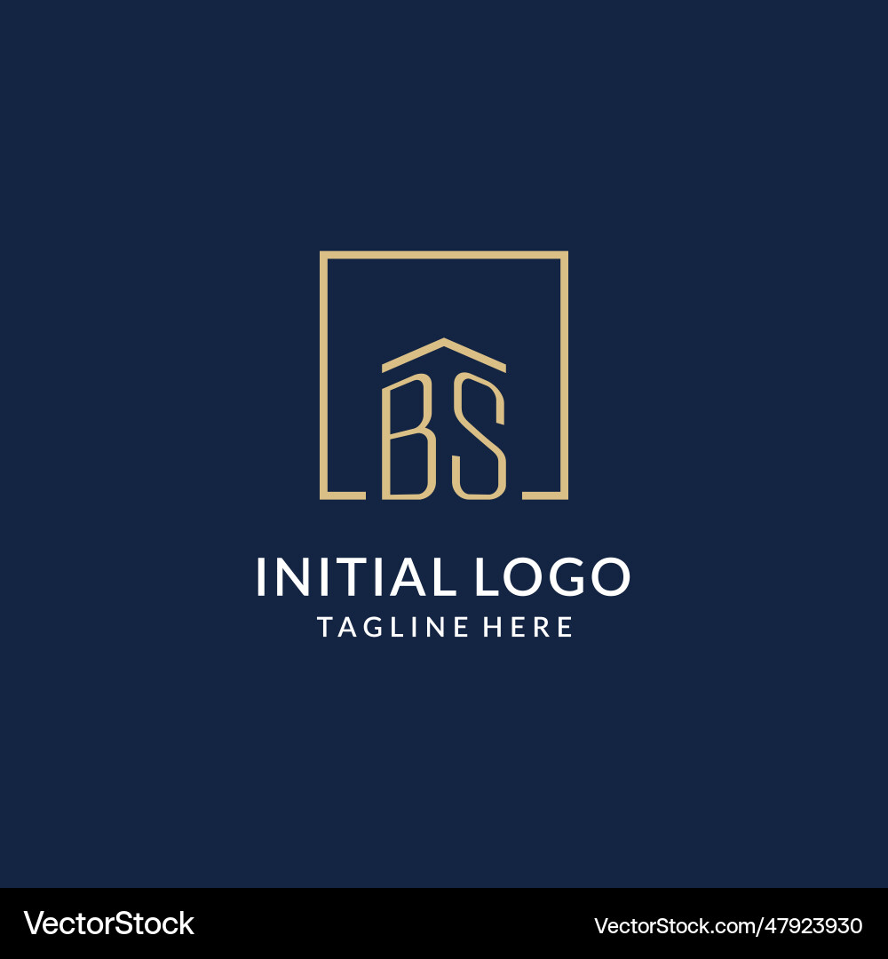 Initial bs square lines logo modern and luxury Vector Image
