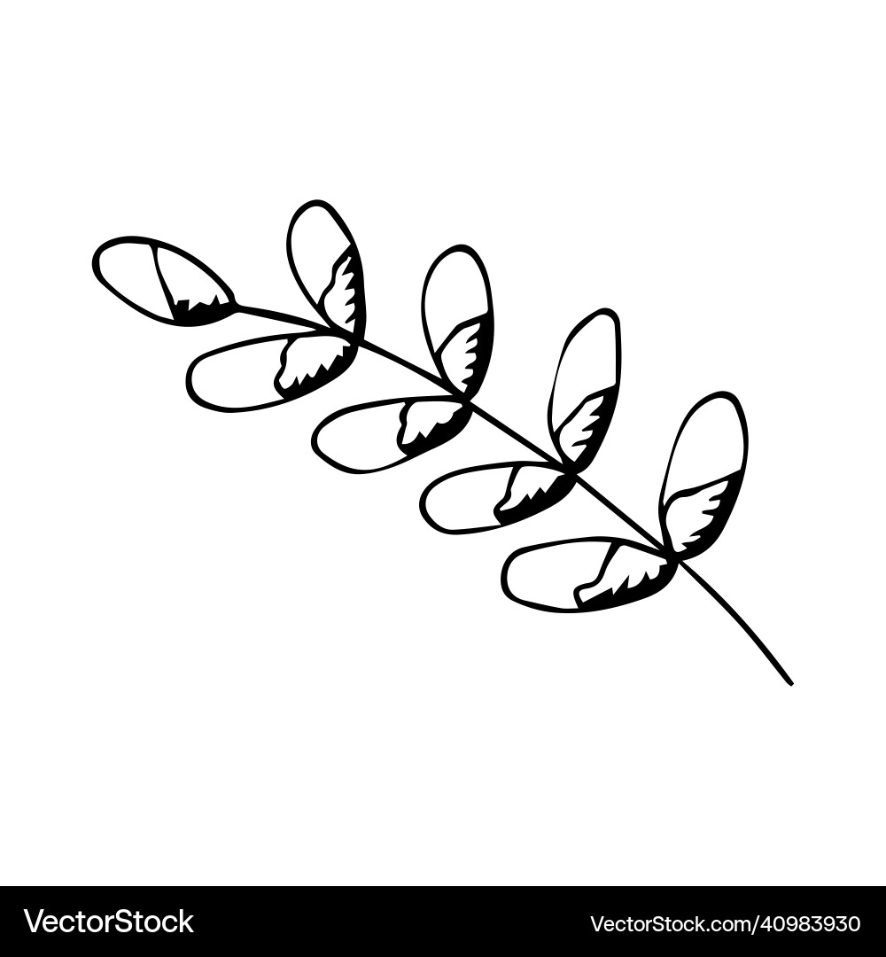 Palm twig for easter doodle Royalty Free Vector Image