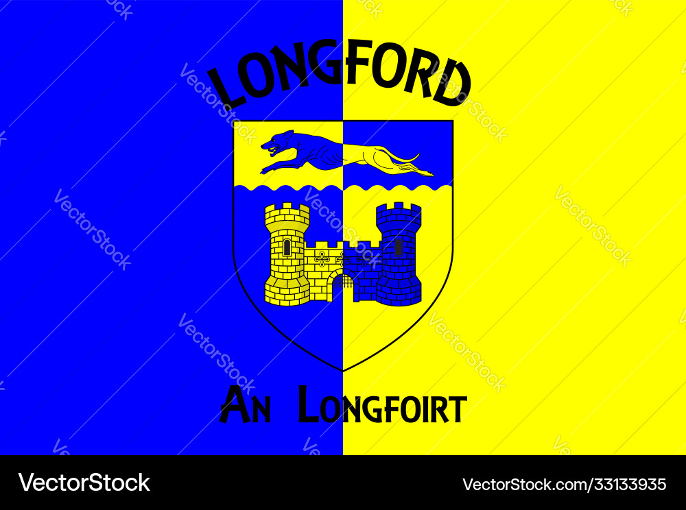 Flag county longford in ireland Royalty Free Vector Image