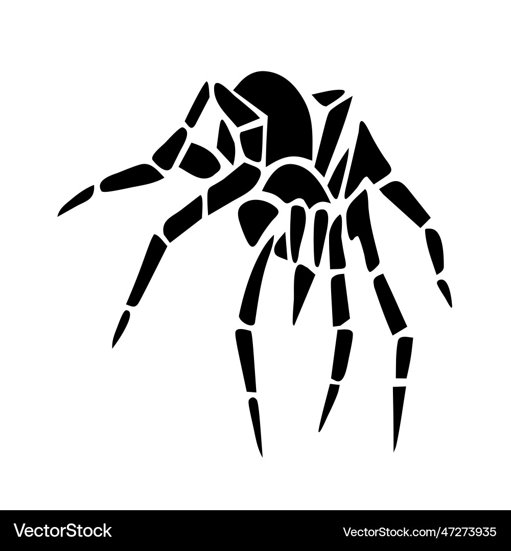 Spider image Royalty Free Vector Image - VectorStock