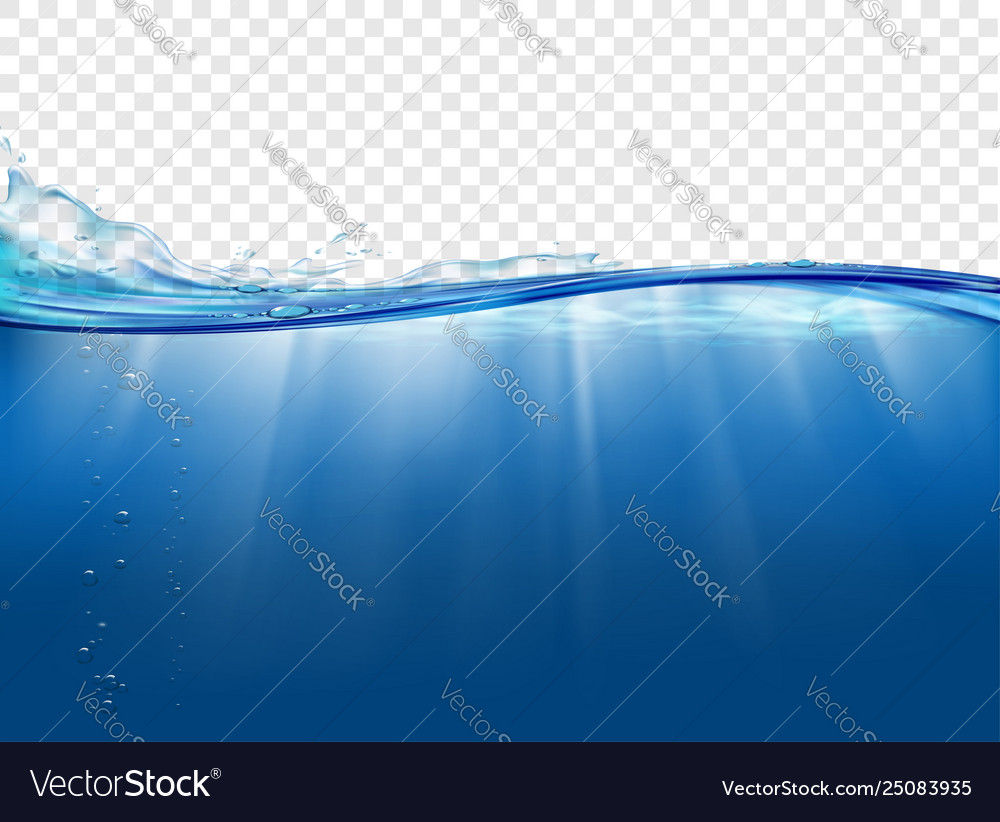 Underwater landscape with sunbeams Royalty Free Vector Image