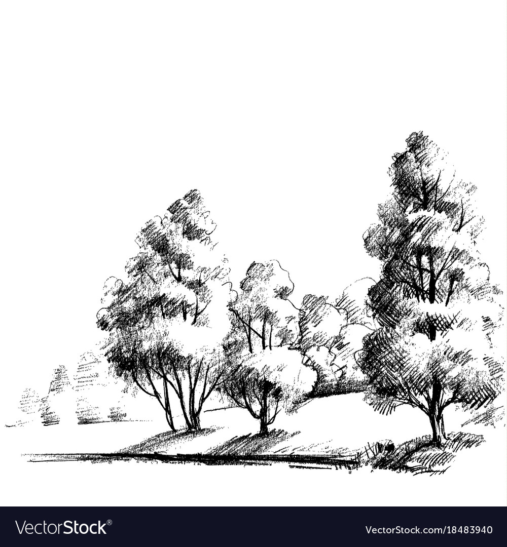 Set Of Different Landscapes With Trees Stock Illustration  Download Image  Now  Forest Drawing  Activity Drawing  Art Product  iStock