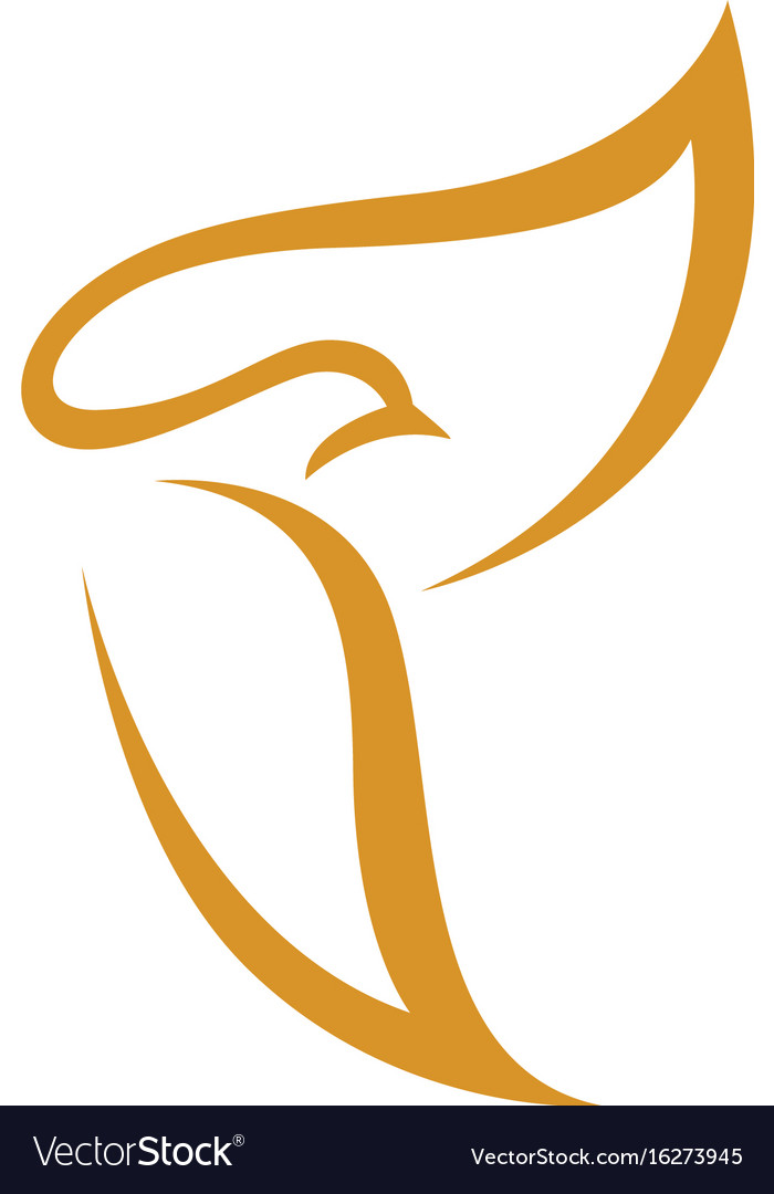 bird wing dove logo template royalty free vector image