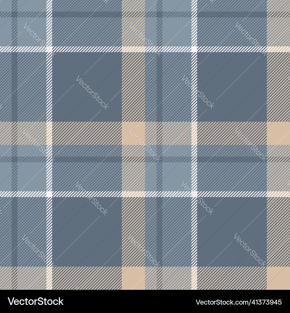 Plaid seamless pattern check fabric texture Vector Image