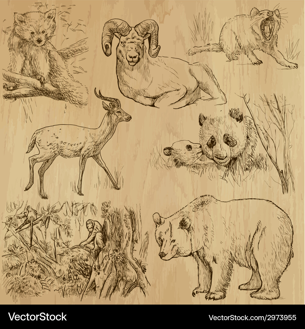 Animals Royalty Free Vector Image - VectorStock
