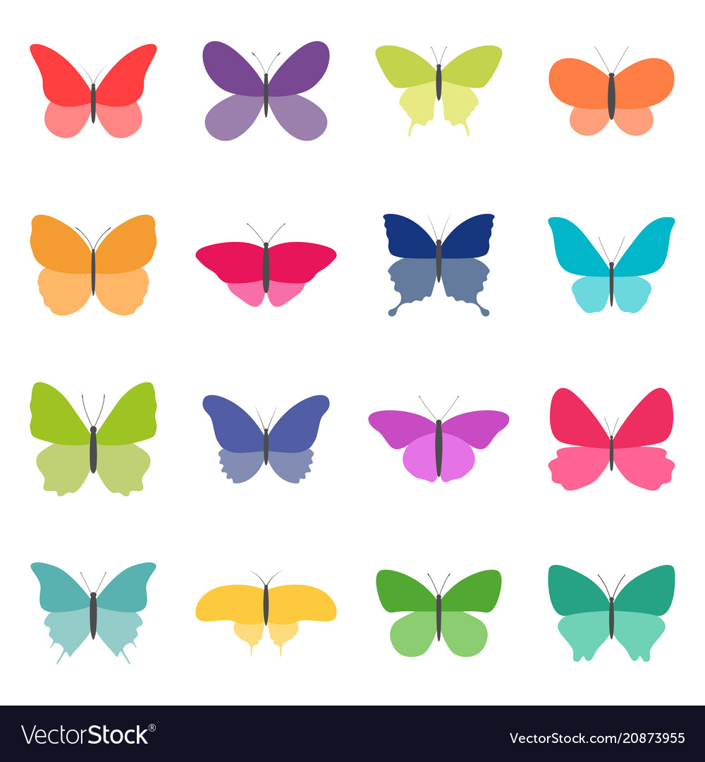 Set color butterflies on white background Vector Image