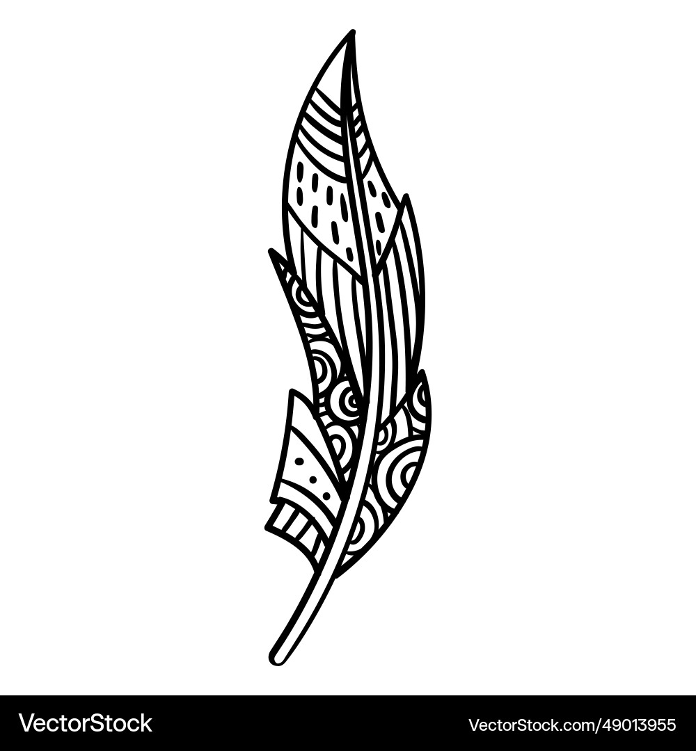 Stroke boho style feather Royalty Free Vector Image