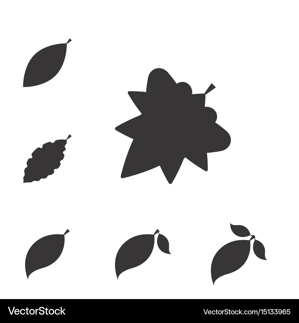Leaf icon or element isolated Royalty Free Vector Image