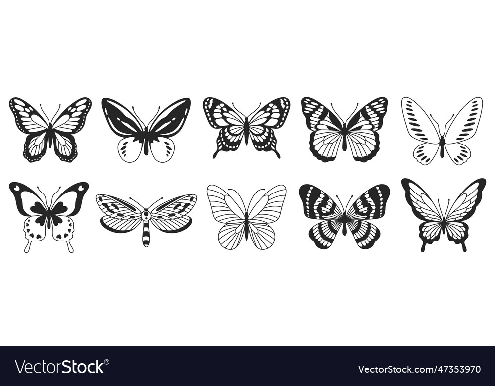 Butterfly fourth set of black and white wings Vector Image