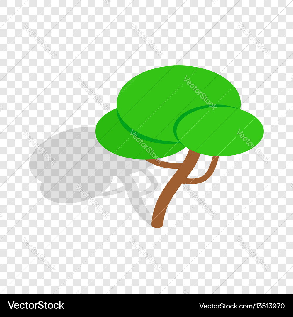 Tree isometric icon Royalty Free Vector Image - VectorStock