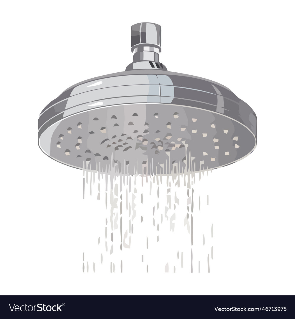 Flowing water from modern chrome shower head Vector Image