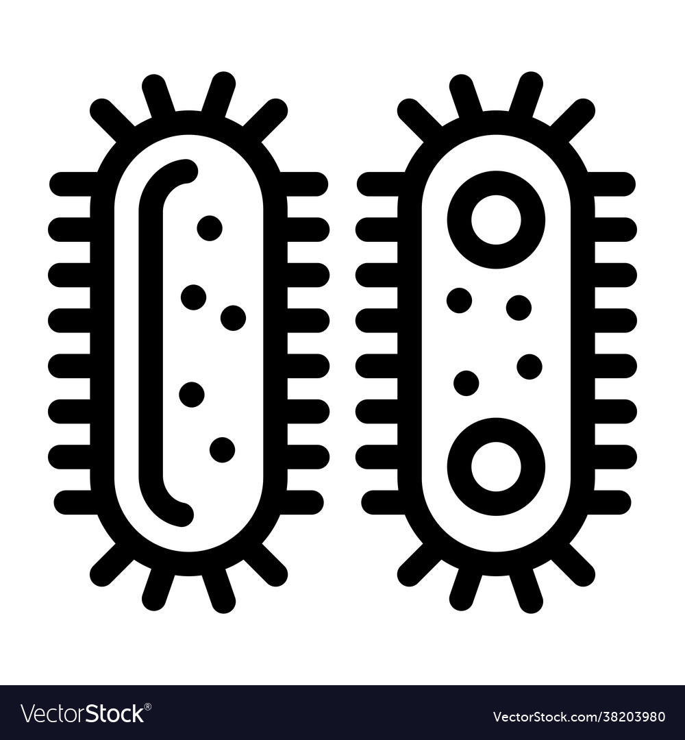 Rabies bacteria