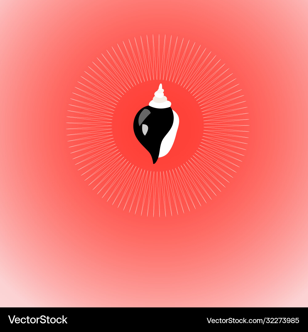 Black and white seashells Royalty Free Vector Image