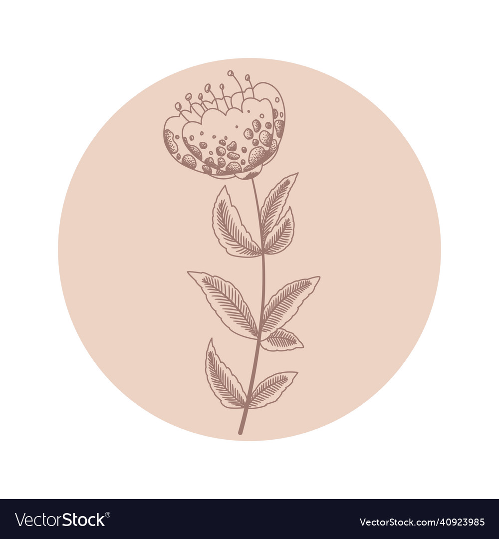 Floral round icon with hand drawn abstract flower Vector Image