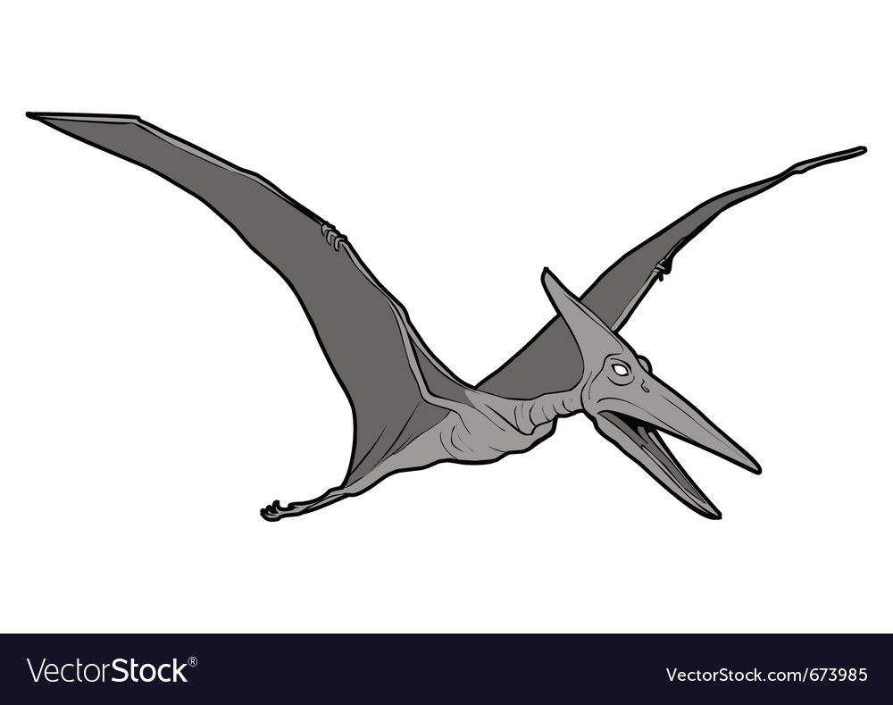 Pteranodon Royalty Free Vector Image - VectorStock