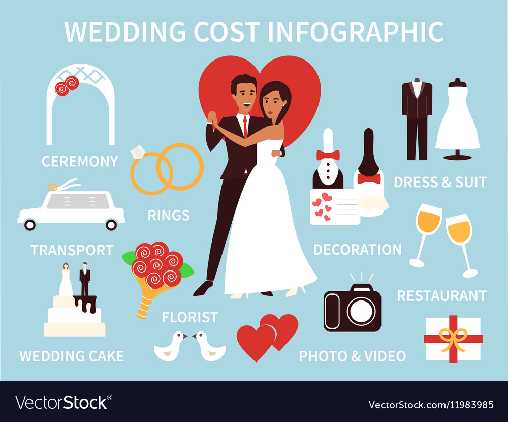 wedding costs infographics financial plan for vector image wedding costs